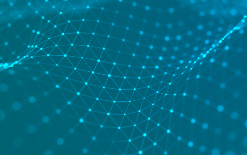 Web Application Security Risks