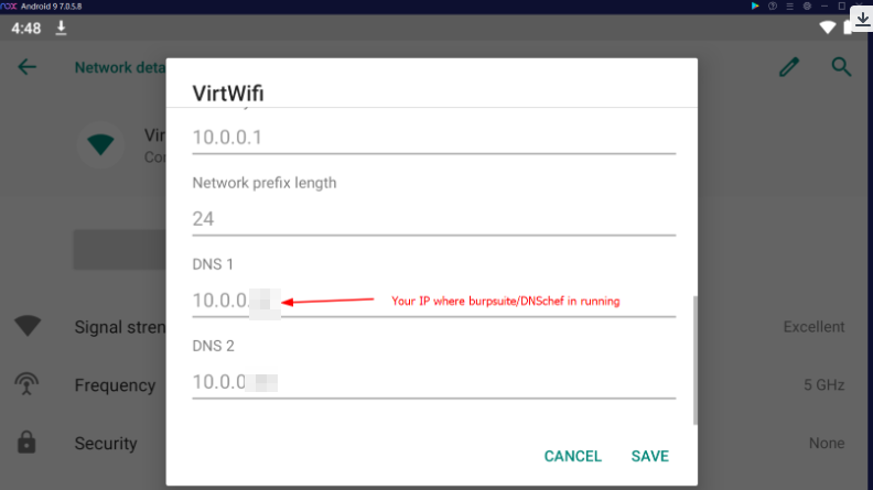 Add the fake DNS server in the mobile wifi settings
