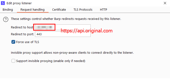 setup request handler to forward requests to remote server using TLS